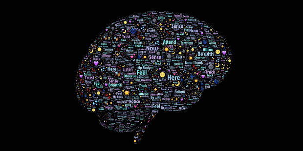 brain cérebro