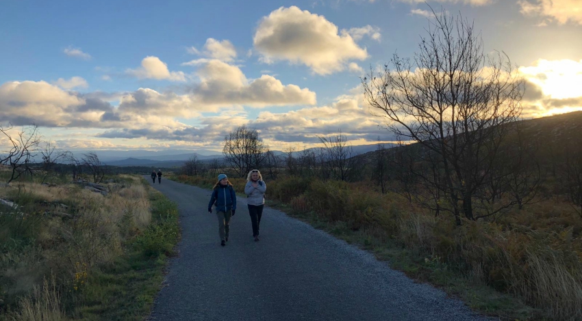 Walking Mentorship caminhada