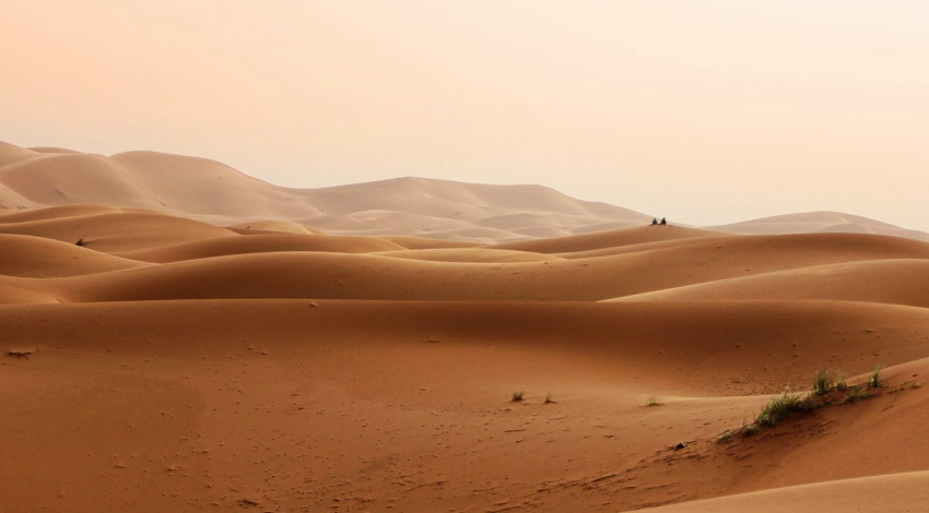deserto