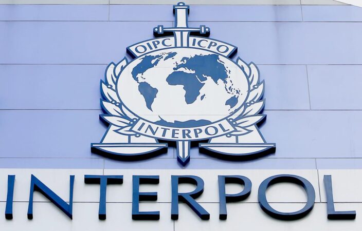 De girafas a borboletas: operação internacional da Interpol deteta explosão no comércio ilegal