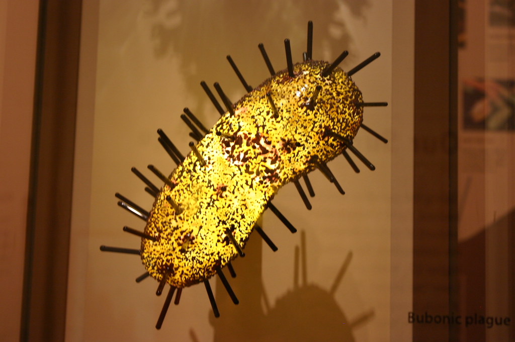 peste bubónica