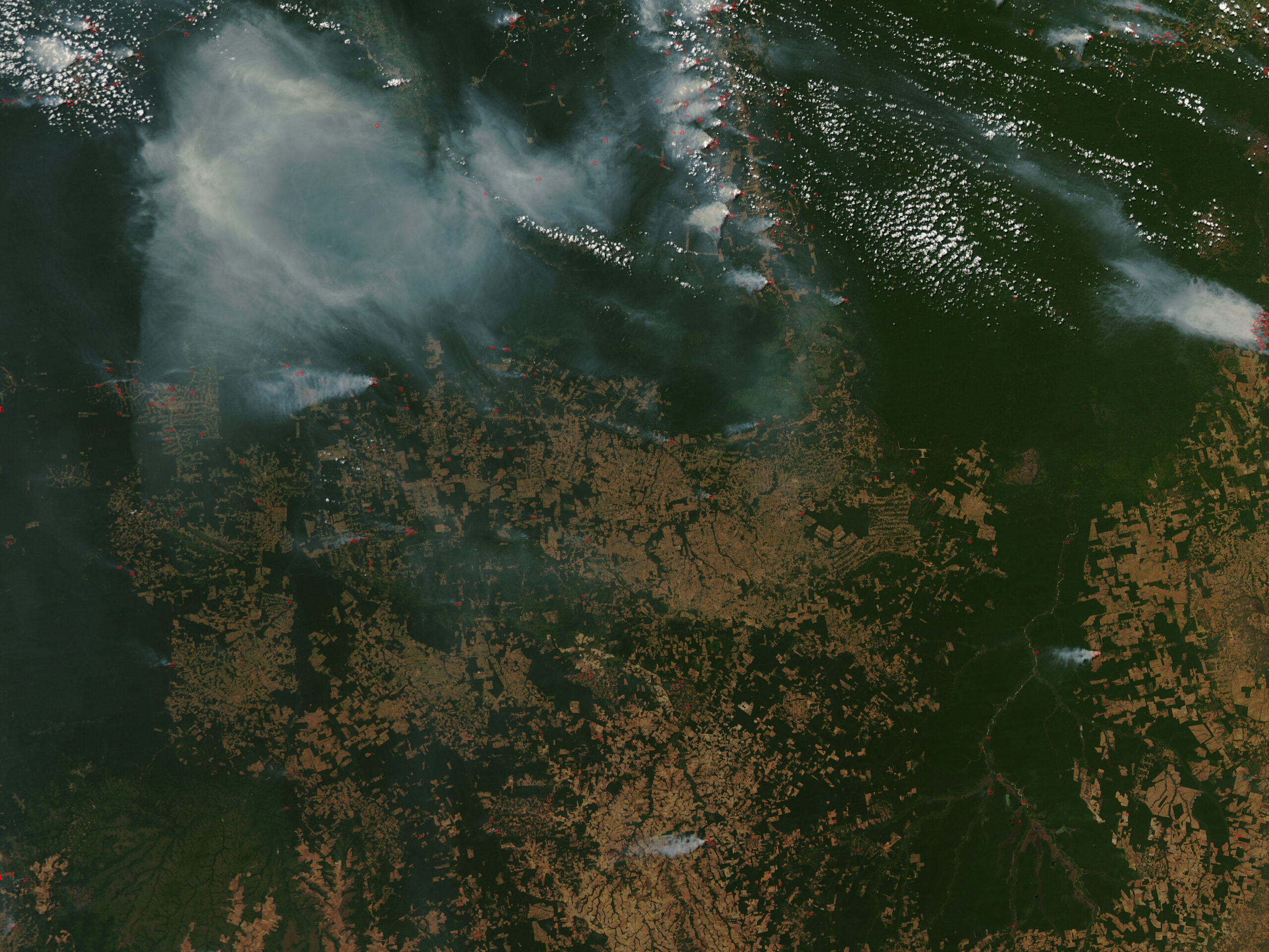 incêndios e desflorestação Amazónia