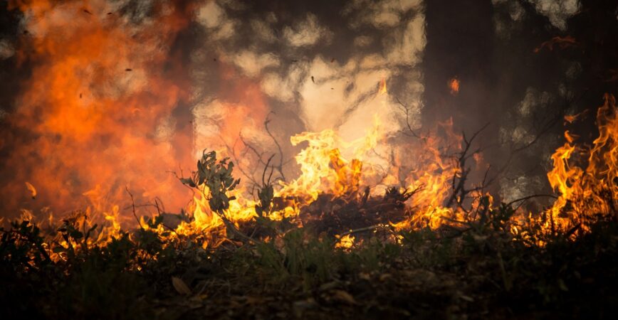 incêndio floresta