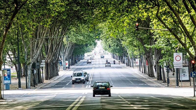 Obras das laterais da Avenida da Liberdade arrancam hoje. Circulação vai estar interrompida todas as noites