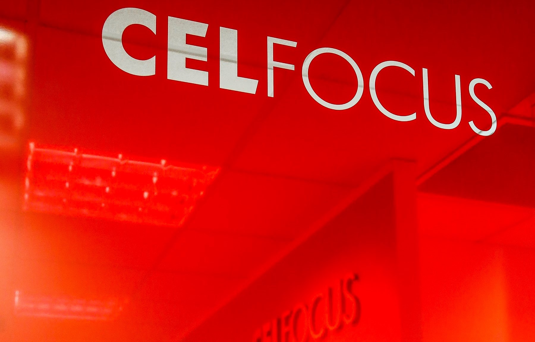 Celfocus alia se a parceiros internacionais para melhorar