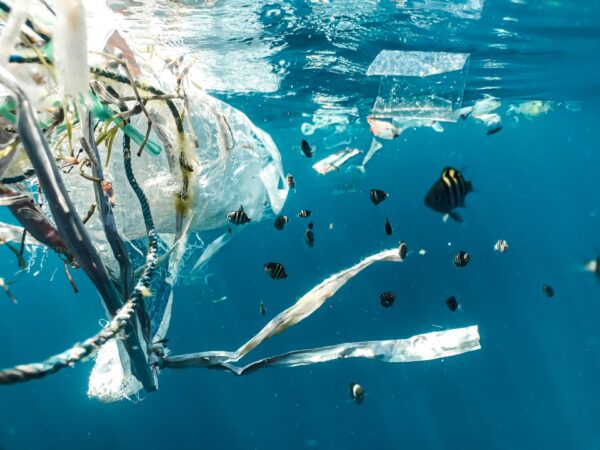 Wissenschaftler stellen fest, dass sich im Mittelmeer vom Weltraum aus sichtbar Müll ansammelt, der das Äquivalent von 7.500 Fußballfeldern einnimmt.