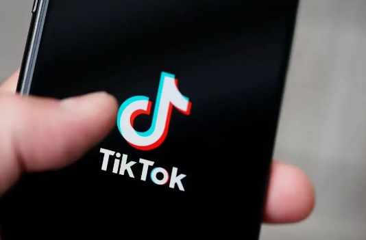 Does TikTok know you better than your mom or friends?  Social Networking Algorithm Leaves Users in Uproar – Executive Summary