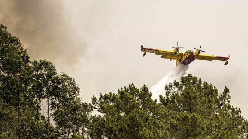 Portugal's Wildfires: Government Extends Tax Deadlines for Affected Citizens and Businesses