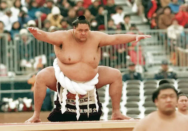 Com a modalidade em crise, o Japão quer ouvir todos os lutadores de sumo.  São 900 - Desporto - SAPO 24