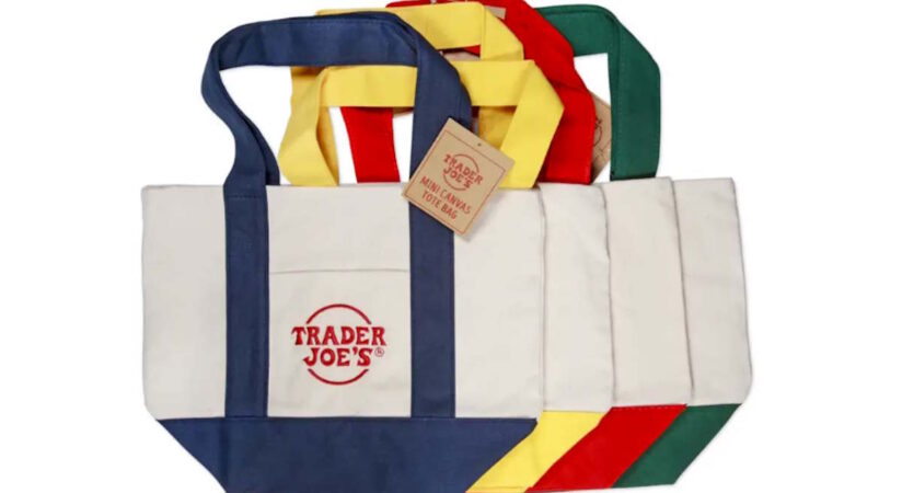 These supermarket bags sold for less than €3, and are now worth around €500.  TikTok is responsible for another viral product