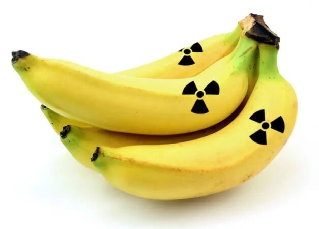 Dies sind die am stärksten radioaktiven Lebensmittel (und viele davon werden täglich gegessen) – Zusammenfassung