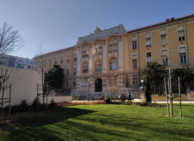 Surge in Births Forces Resignation of Lisbon Maternity's Head Obstetrician